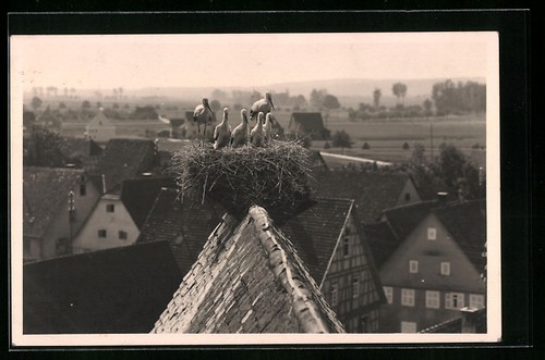 Foto murr storchennest - murr,, im