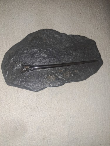 Ammoniten belemnit lias - ammoniten,