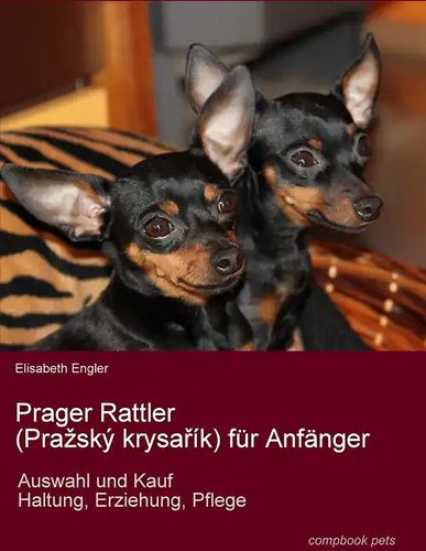 Prager rattler pražský - prager, (pražský