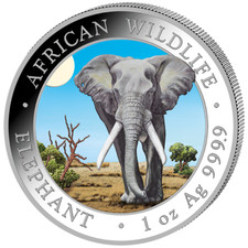 Silbermünze Elefant African