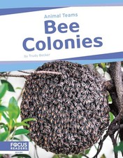 Animal Teams: Bee Colonies by