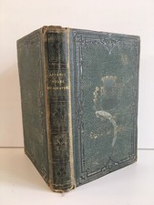 MAYNE-REID Die zwei Mädchen