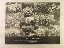 altes Prospekt Karl Foerster