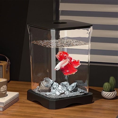 Aquarium kits schreibtisch - aquarium,