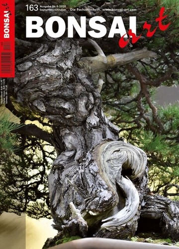 Neue bonsai art - bonsai,
