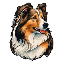 XXL 18X18cm Collie Car Decal