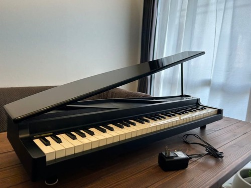 Korg micropiano tasten - micropiano, mini