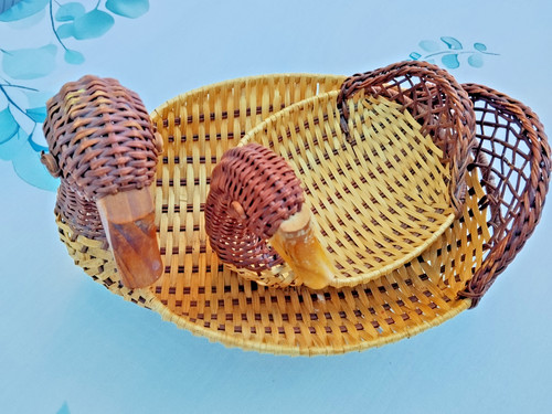 Set geflochtene enten - set,