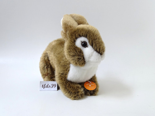 Teddy hermann hase kaninchen - teddy,