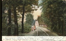 Vierlanden - ,
