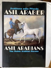 Arabiens edle pferde asil - edle,