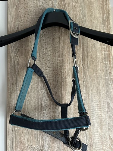 Halfter pony mit strick - halfter,