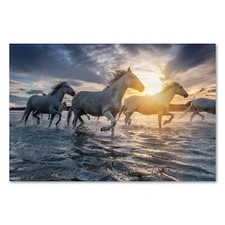 Postereck 3210 Poster Leinwand Pferde, Herde Natur Tier Wasser Sonne Weiss