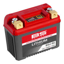 BS BATTERY Lithium LiFePO4