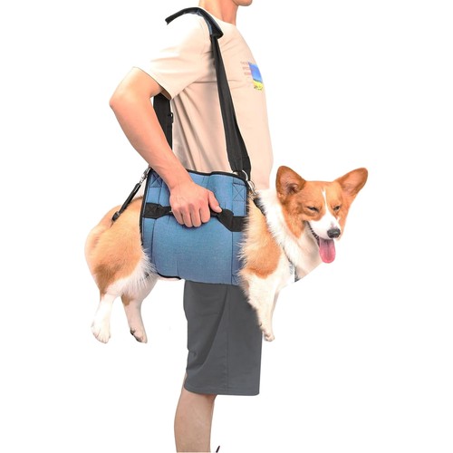 Hundetragegurt notfallrucksack - hundetragegurt,