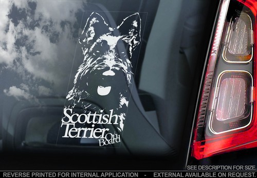 Scottish terrier auto - terrier,