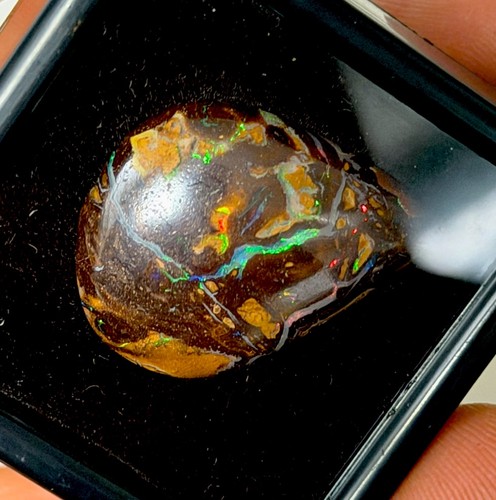 Boulder gem opal - boulder, koroit