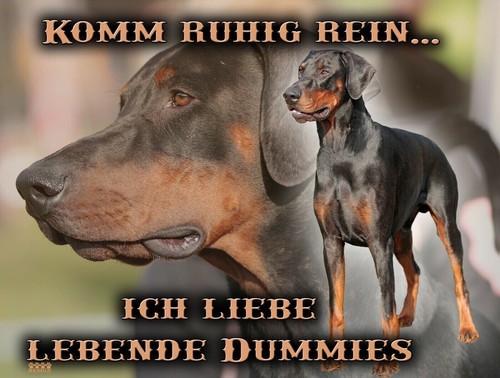 Dobermann hundewarnschild - dobermann,