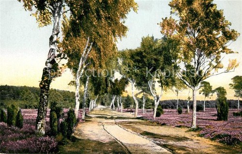 Jesteburg birkenweg - jesteburg,