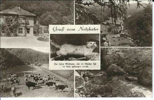 Ansichtskarte ilfelder tal - ilfelder,