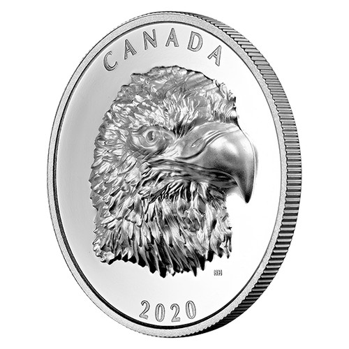 Dollar proud bald - dollar,