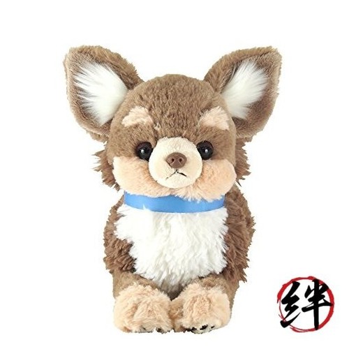Schwerer hund chihuahua braun - schwerer,