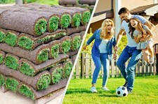 ROLLRASEN (Sport- und Spielrasen) inkl. LIEFERUNG ab nur 6 € pro QM