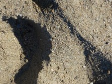 BEACH SAND - PLAGE DE LA POINTE ROUGE - MARSEILLE - FRANKREICH - STRANDSAND