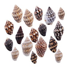 100x Muschelmix Muscheln Schale maritime Schnecken Deko Basteln Bastelmuscheln g