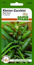 Kletter-Zucchini "Black-Forest