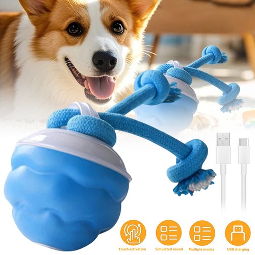 Hundespielzeug