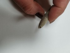 Donner Keil Fundort Helgoland