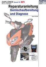 Reparaturanleitung RIS