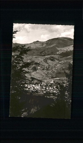 Schoenau schwarzwald elchen - schoenau,