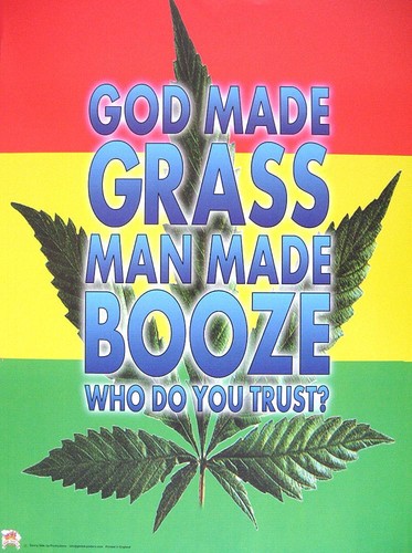 Cannabis marijuana grass - cannabis,