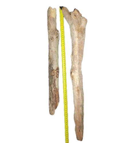 Treibholz schwemmholz 2 xxl - ,