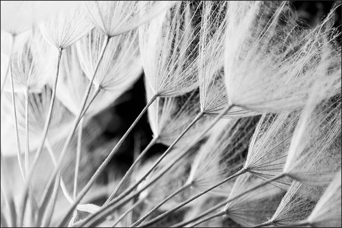Vlies fototapete selbstklebend - vlies,