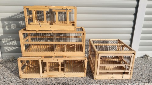 Vogelfallen fangkäfige zu - vogelfallen,,