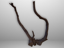 Schwarze Moorwurzel *45cm* /