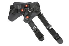 Bungee Trampolin Sprunggurt