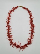 Korallenkette Astkoralle