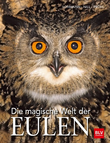 Die magische welt der eulen - magische,