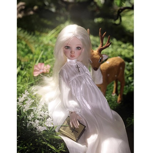 Bjd dolls resin - 1/6,