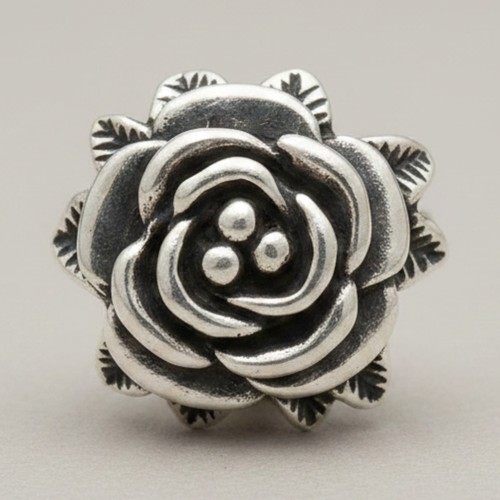 Echter sterling silber ring - silber,