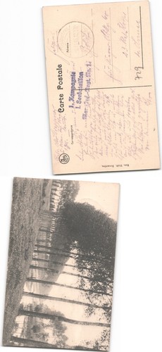 Weltkrieg 1 - ,
