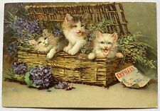 AK Motiv Tier um 1914 Katzen Katzenbabys Korb