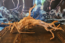 Rote Moorwurzel / Fingerwurzel XL 64x34x26cm - Holz für Welse, Fische, Aquarium