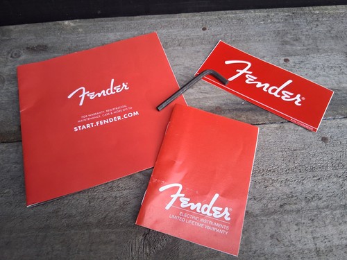Fender stratocaster basic case - basic,