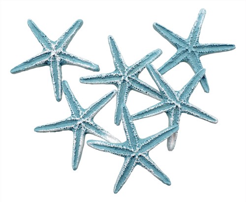 Seesterne klein hellblau - seesterne,