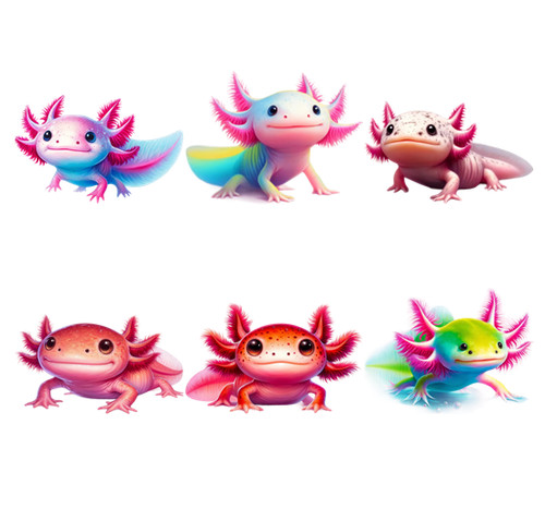 Bügelbild bügelmotiv axolotl - bügelbild,
